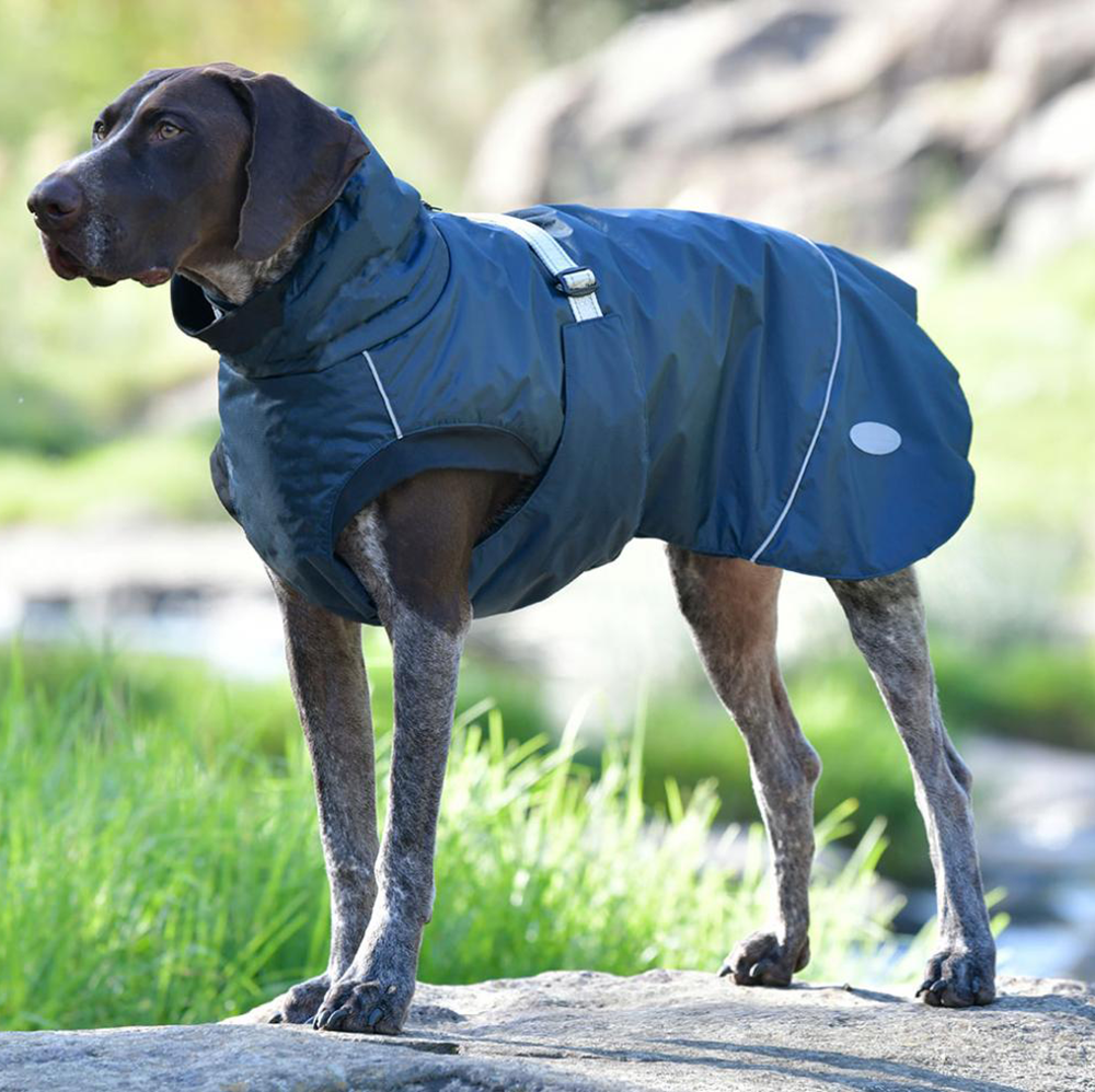 WB Explorer Medium Dog Coat