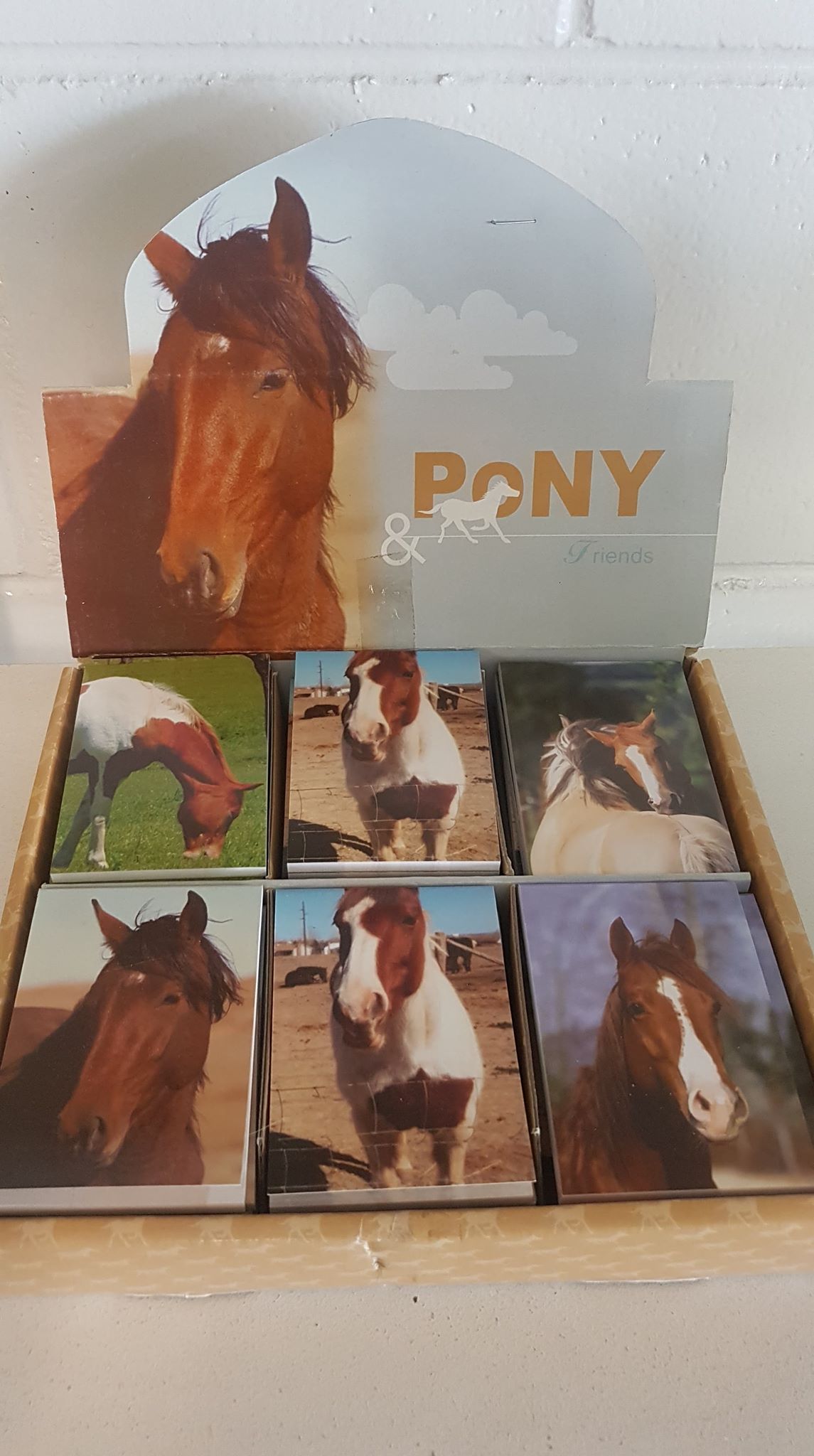Pony Friends Note Pad Outer (48 Memo Pads)