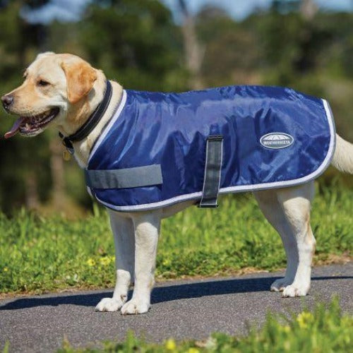 ComFiTec Windbreaker Dog Coat