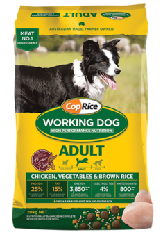 Coprice Adult Working Dog