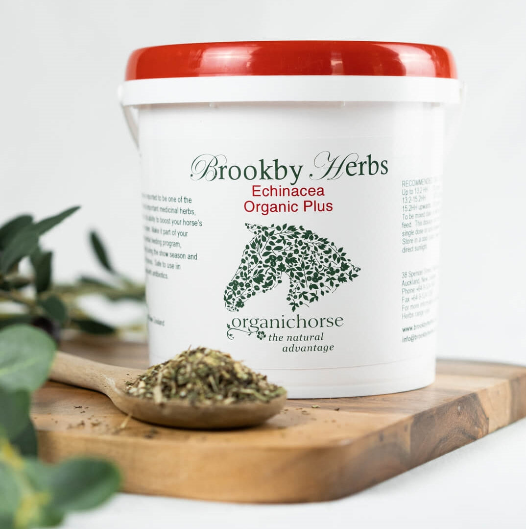 Brookby Herbs Echinacea Leaf- Refill