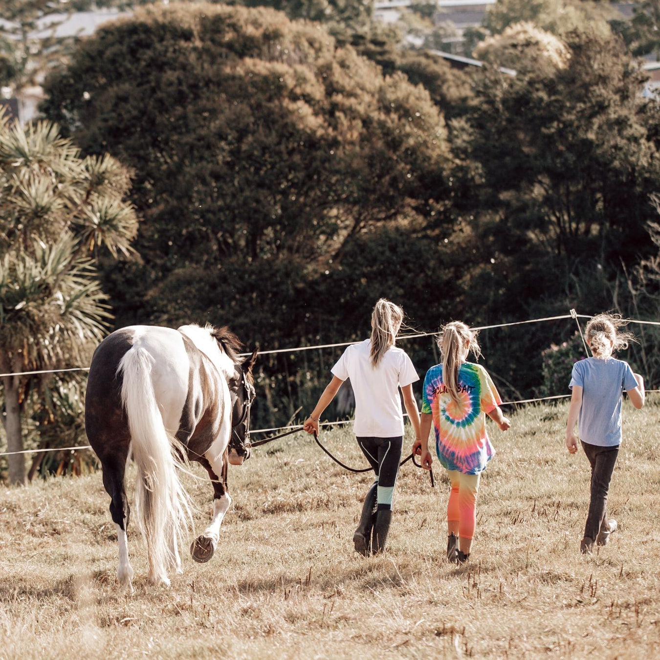 Pony Club