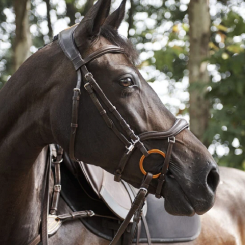 Bridles — Horselands