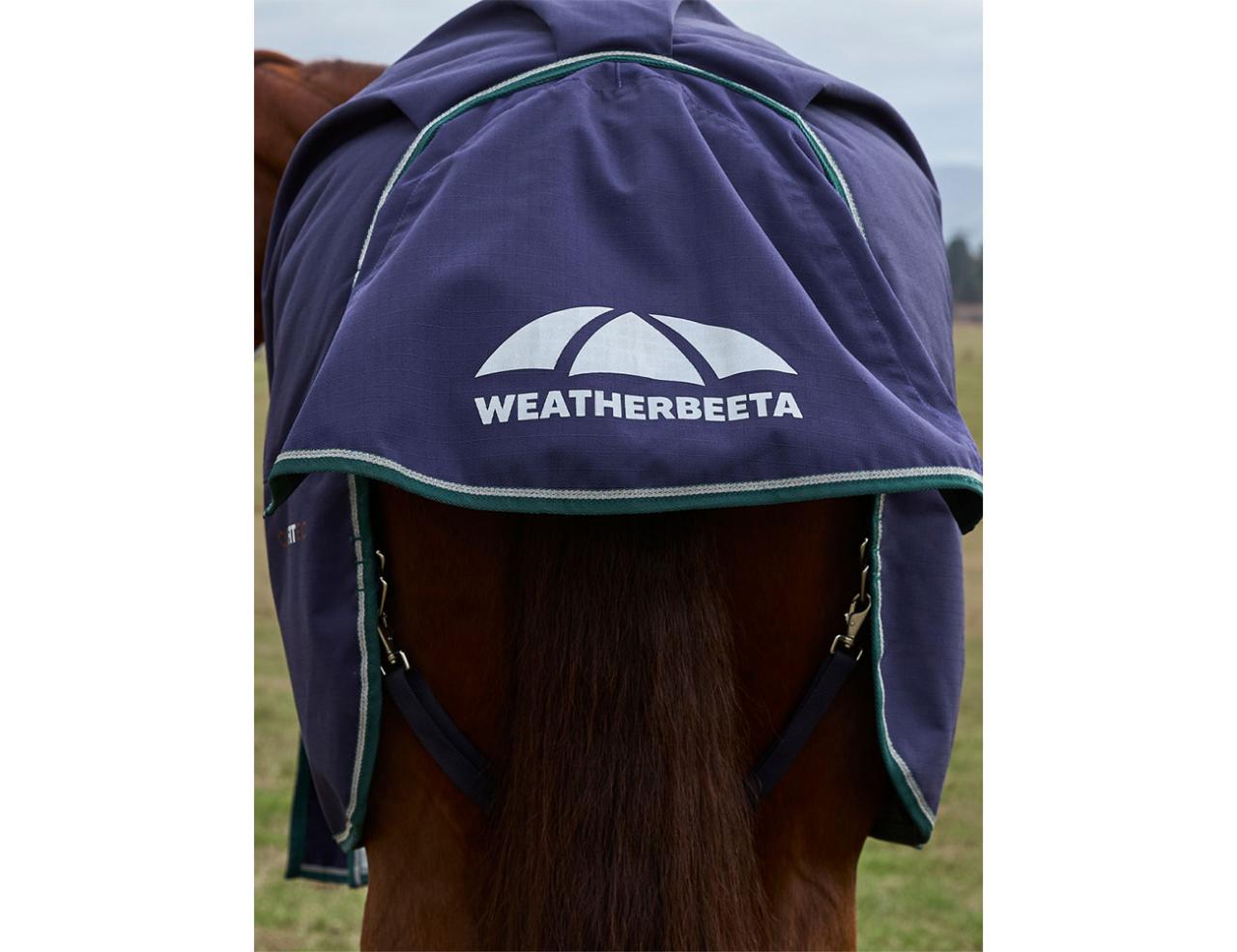 Weatherbeeta Dynamic 100g Turnout Rug