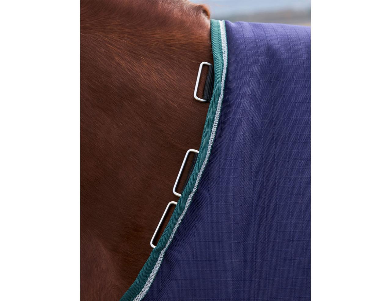 Weatherbeeta Dynamic 100g Turnout Rug