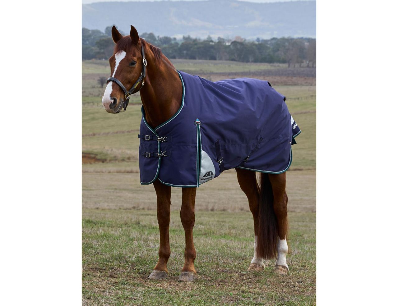 Weatherbeeta Dynamic 100g Turnout Rug
