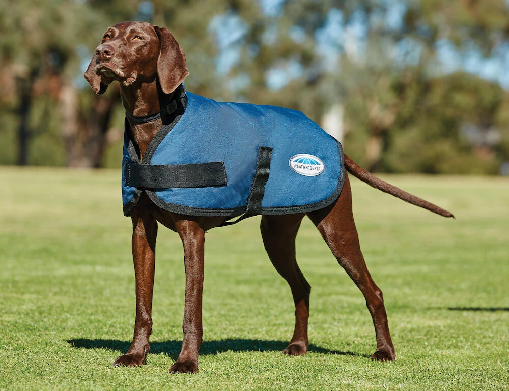 Weatherbeeta Comfitec Classic Waterproof Dog Coat