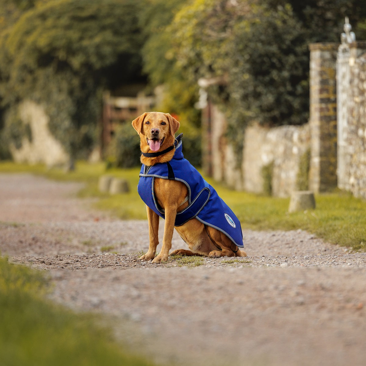 ComFiTec Premier Free Deluxe Parka Dog Coat