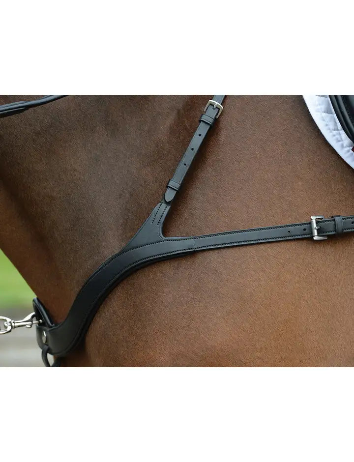 Collegiate Breastplate Five Point