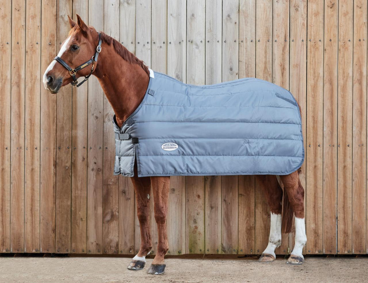 Weatherbeeta Rugs — Horselands