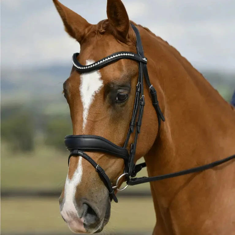 Comfitec Opulux Raised Dressage Bridle