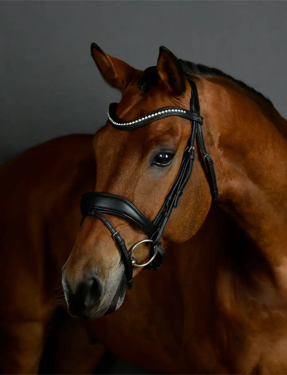 Comfitec Opulux Raised Dressage Bridle