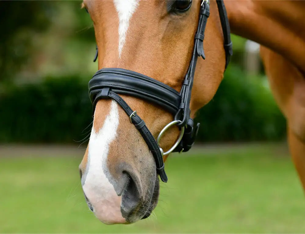 Comfitec Opulux Raised Dressage Bridle