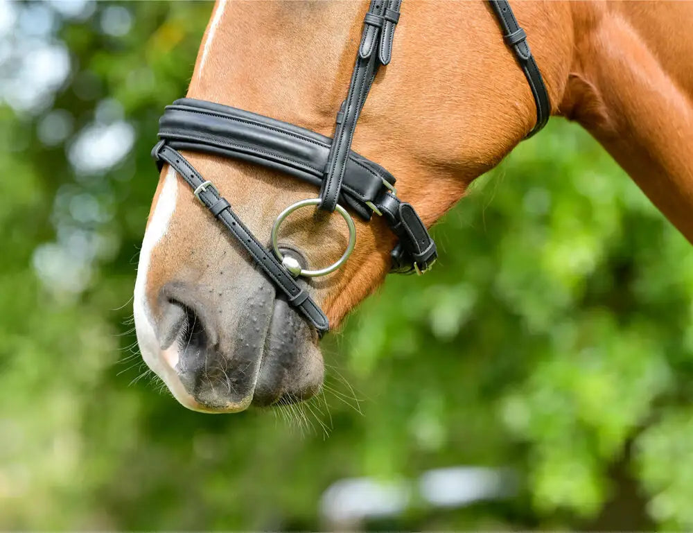 Comfitec Opulux Raised Dressage Bridle