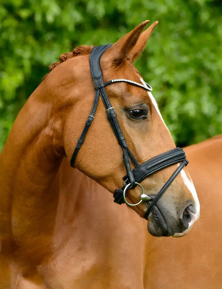 Comfitec Opulux Raised Dressage Bridle