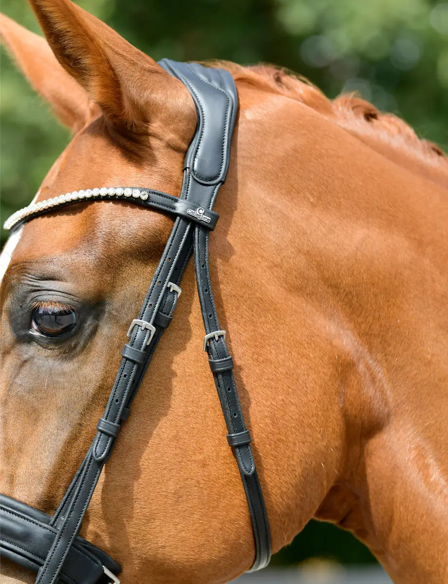 Comfitec Opulux Raised Dressage Bridle