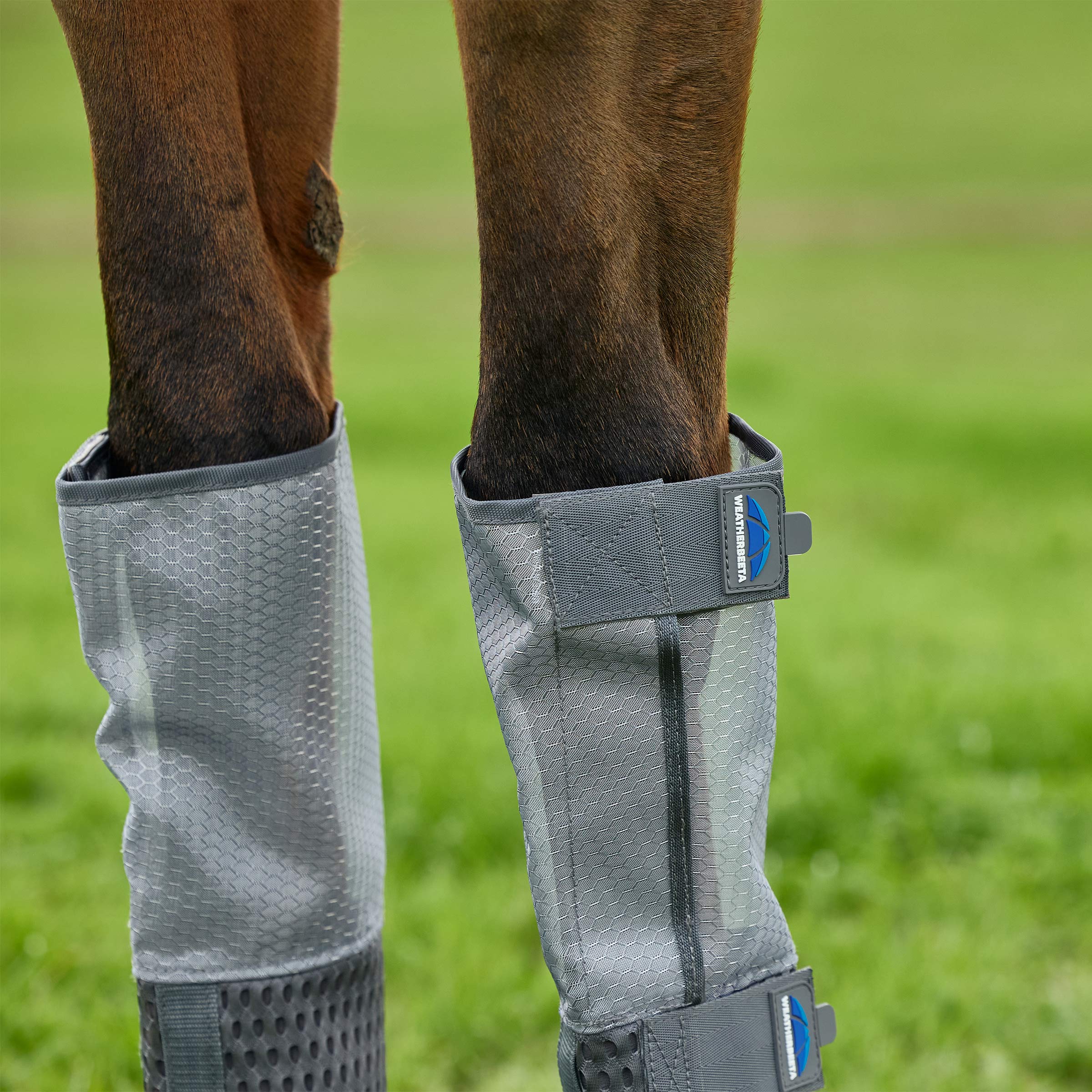 Weatherbeeta Hexi Shield Fly Boots - Set of 4