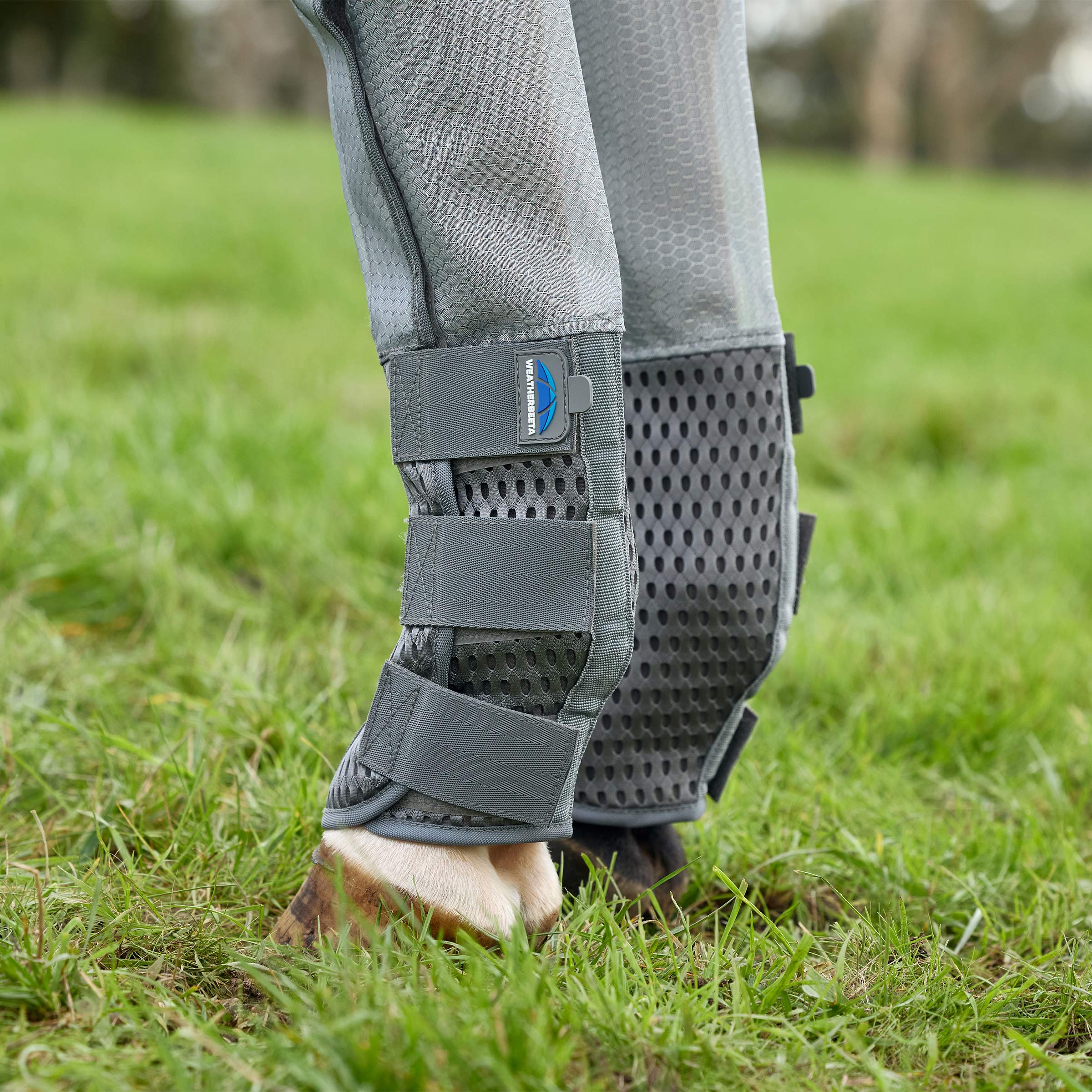 Weatherbeeta Hexi Shield Fly Boots - Set of 4