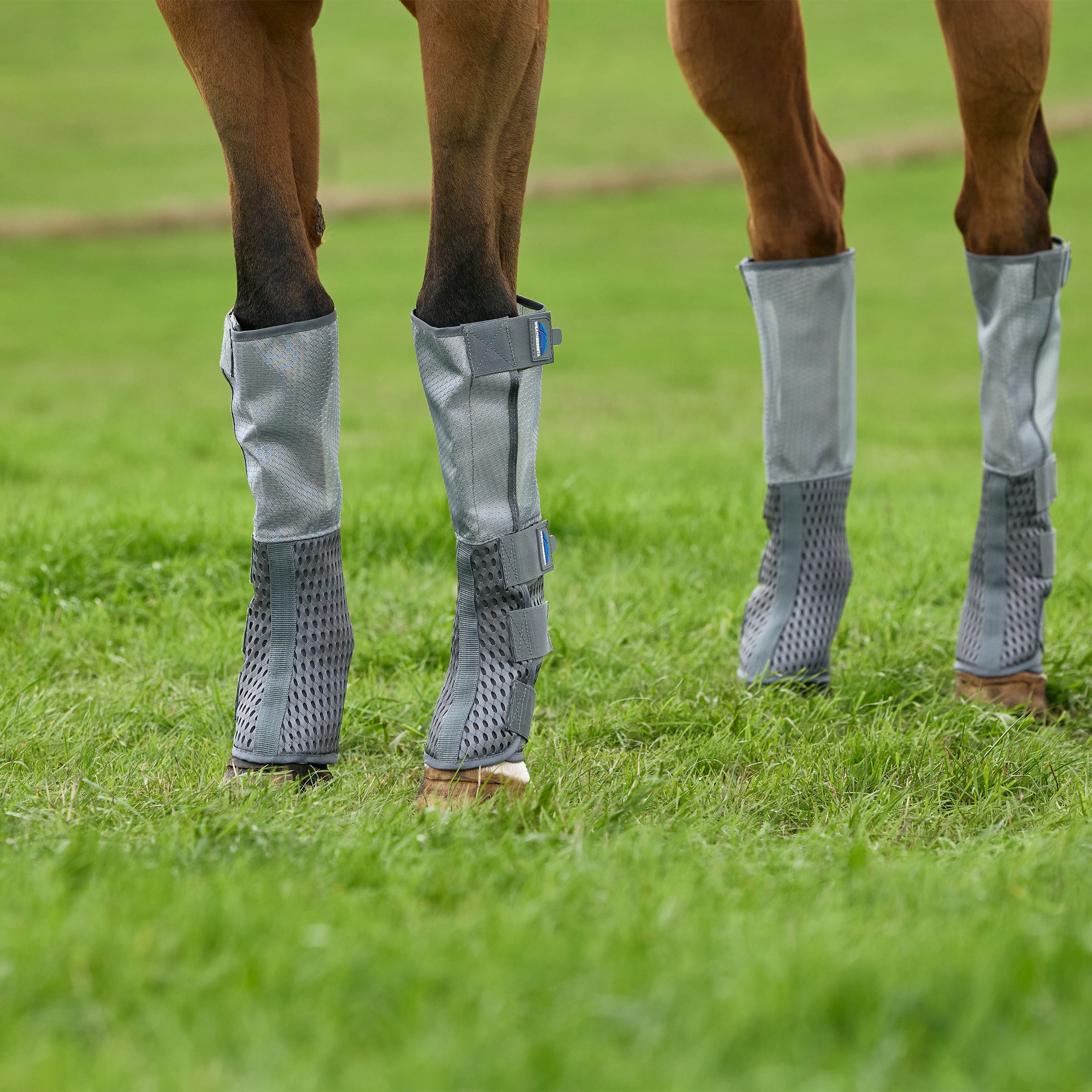 Weatherbeeta Hexi Shield Fly Boots - Set of 4