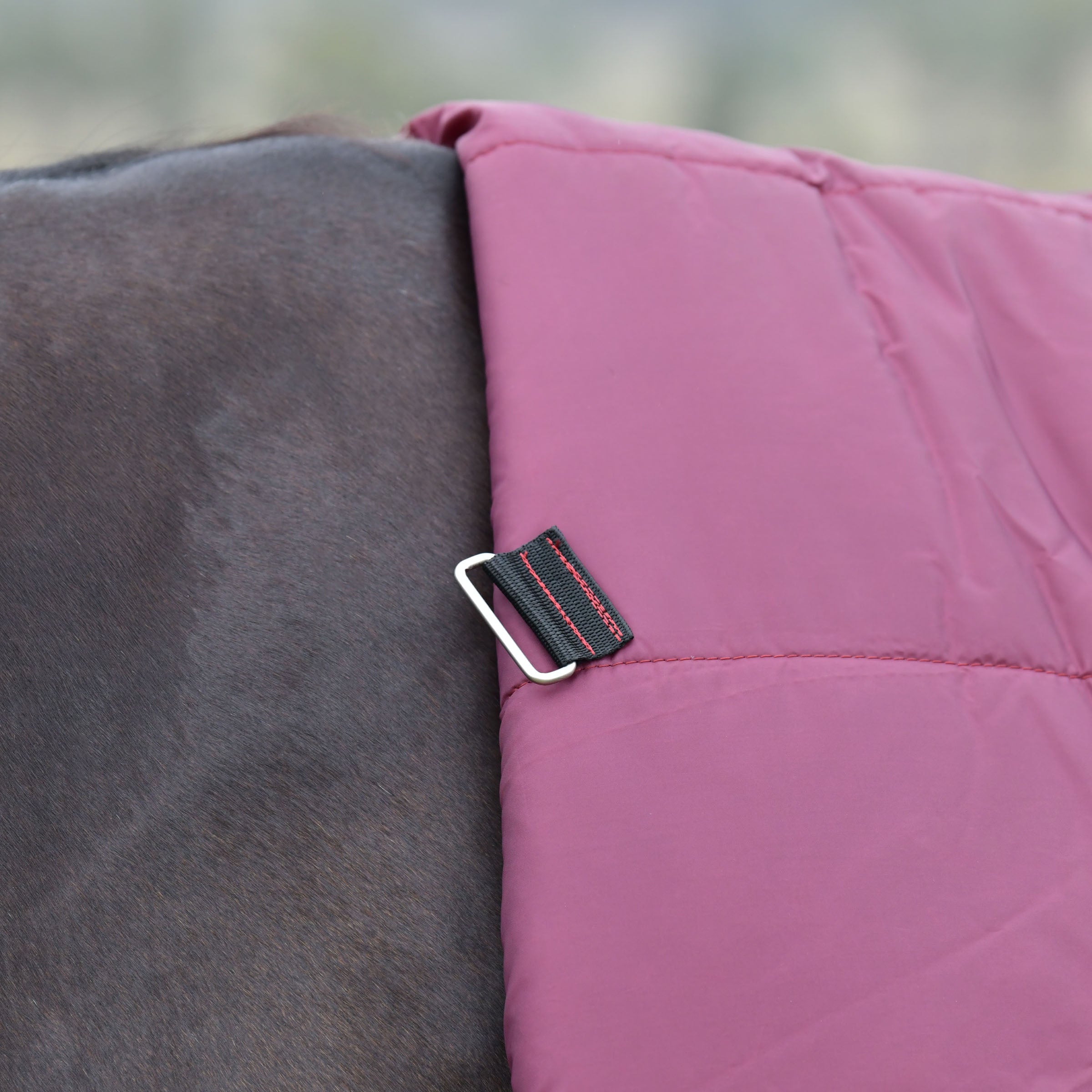 Weatherbeeta Essential 220g Turnout Combo