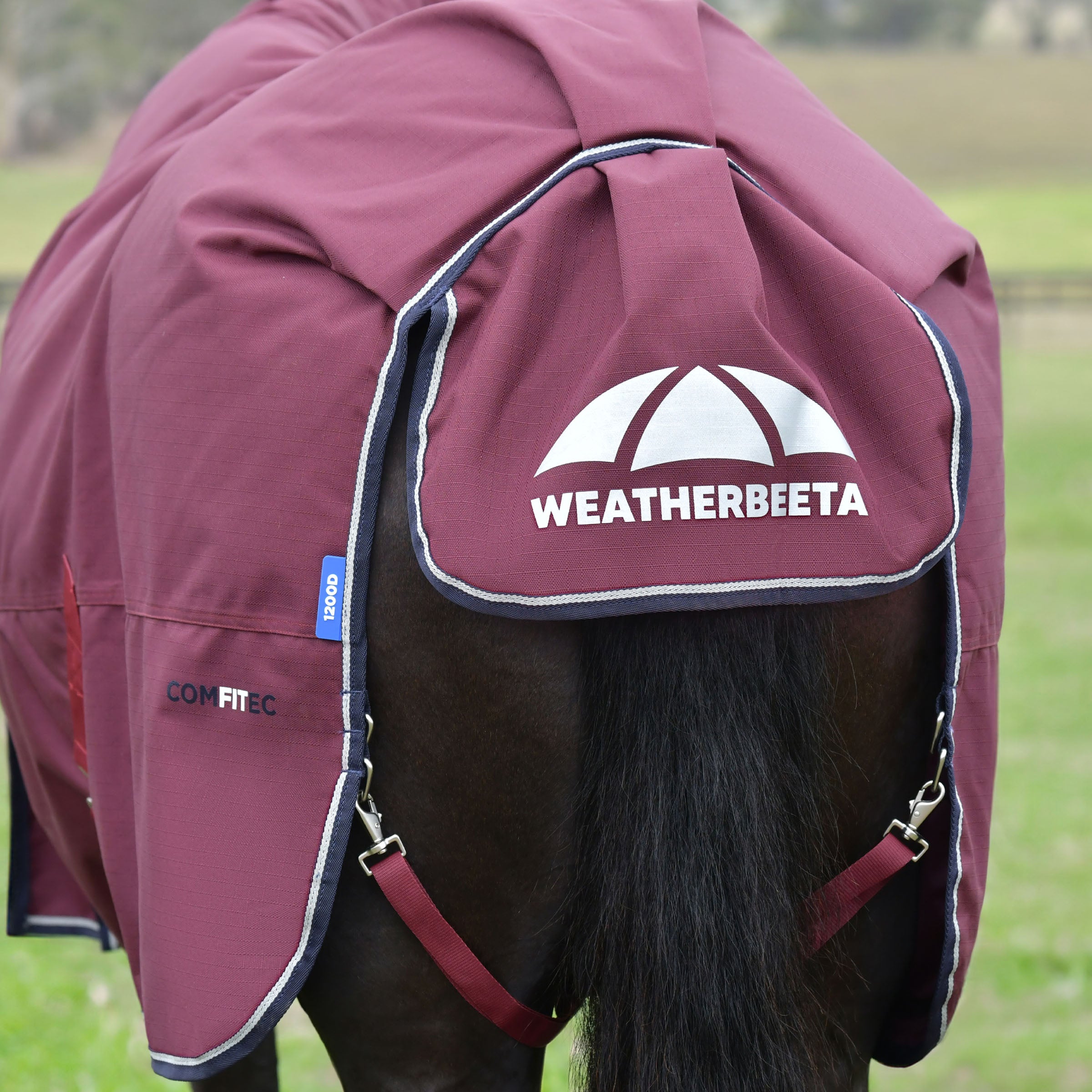 Weatherbeeta Essential 220g Turnout Combo