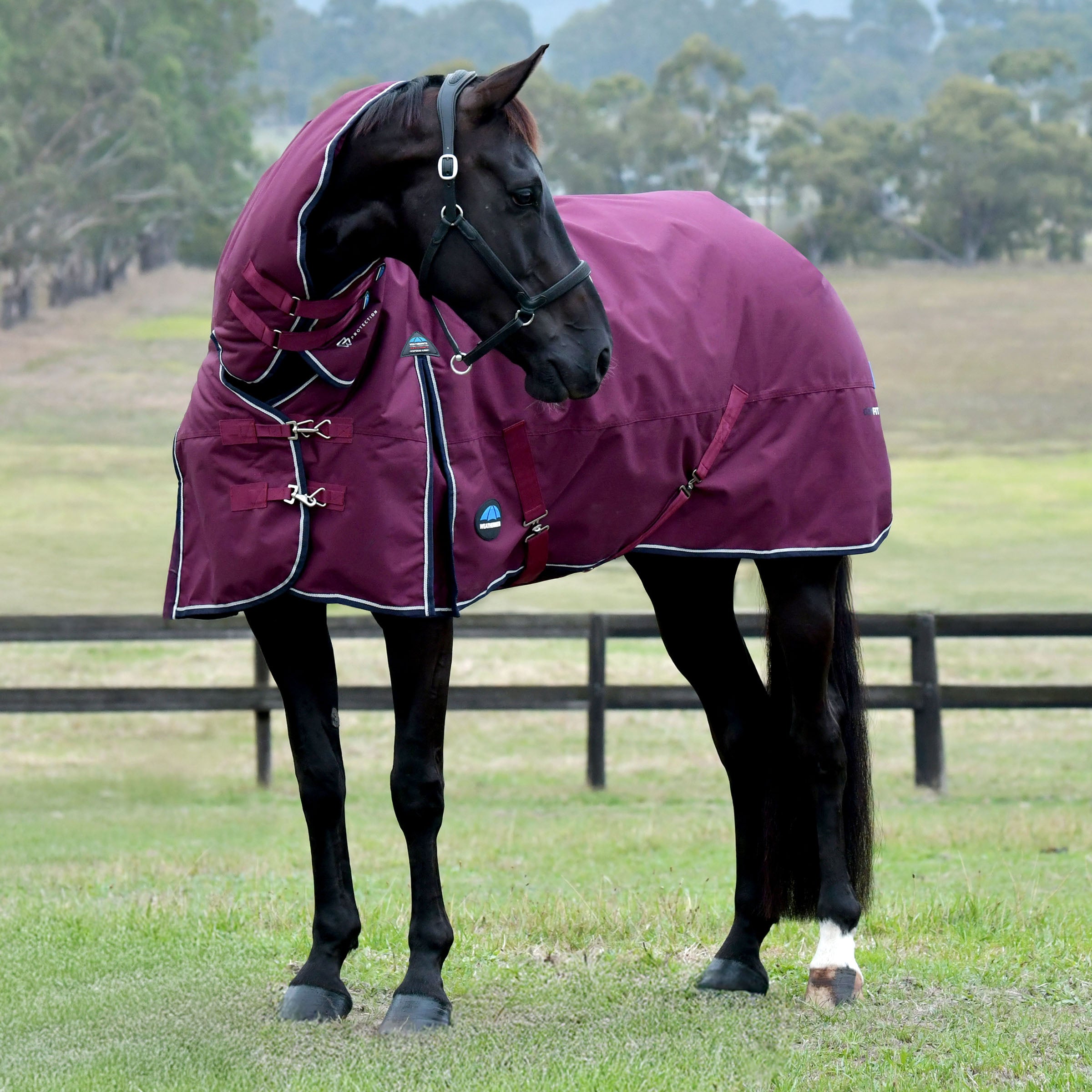 Weatherbeeta Essential 220g Turnout Combo