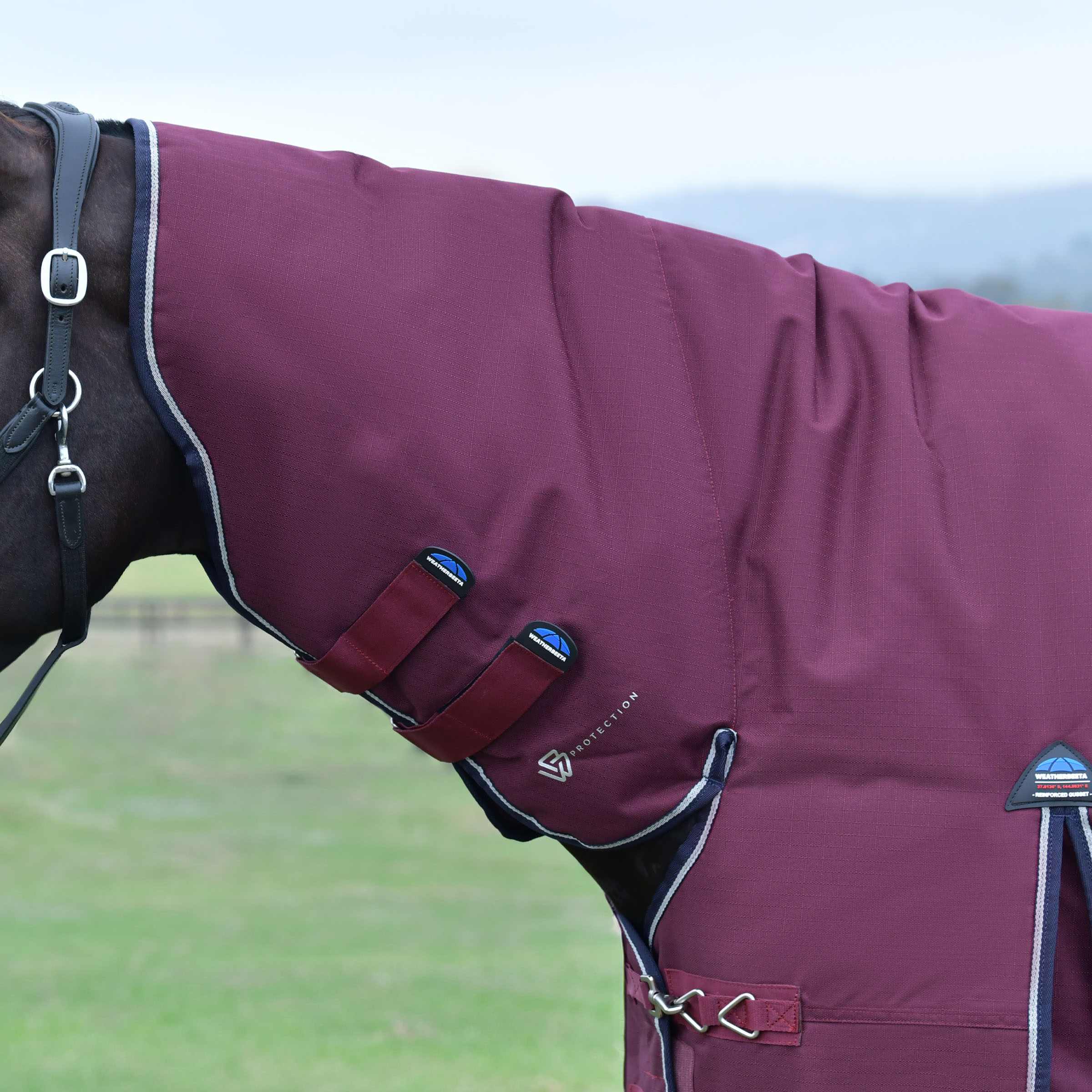Weatherbeeta Essential 220g Turnout Combo