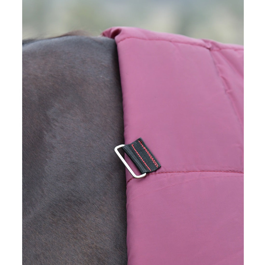 Weatherbeeta Essential 0g Turnout Combo