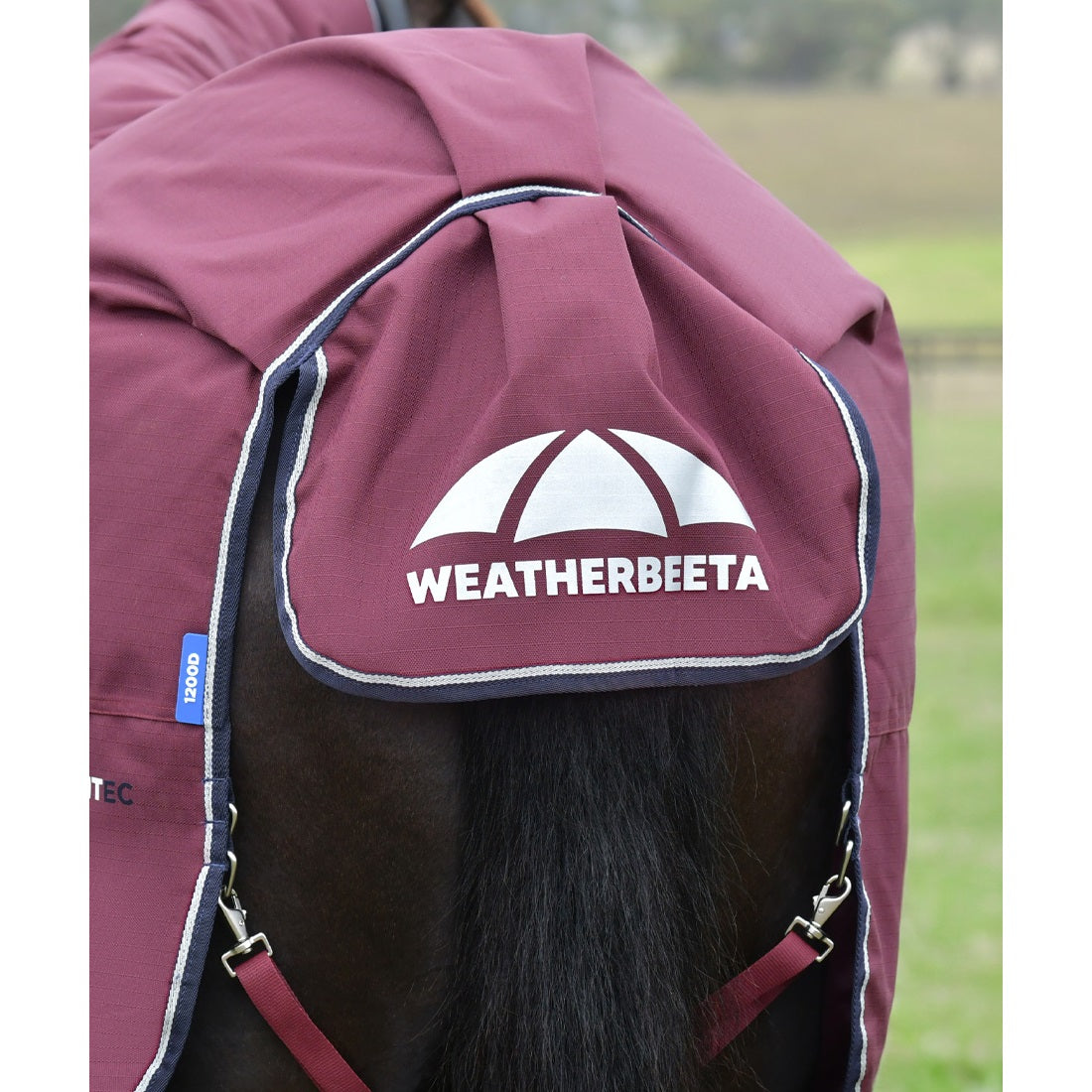 Weatherbeeta Essential 0g Turnout Combo