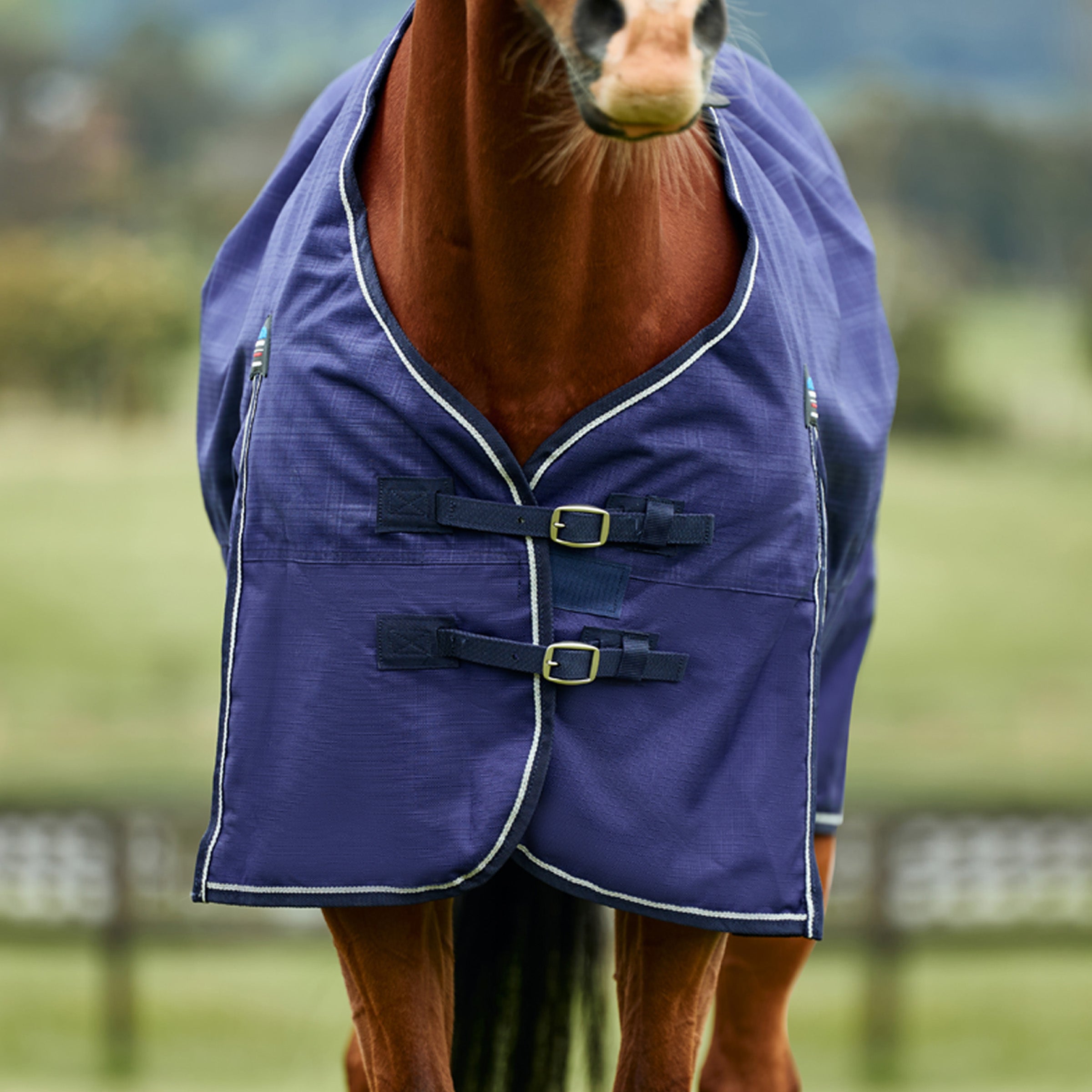 Weatherbeeta Prelim 0g Turnout Rug
