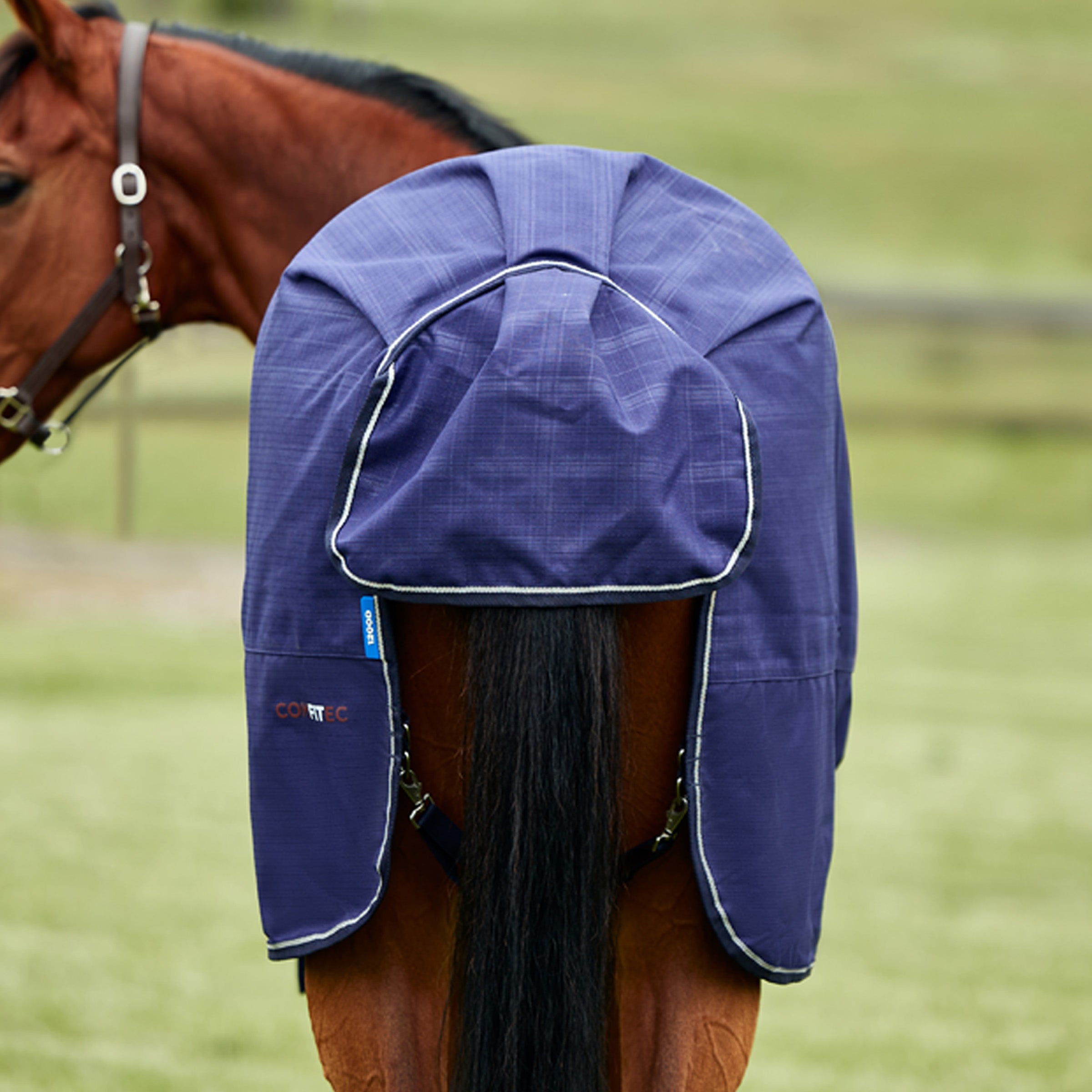 Weatherbeeta Prelim 0g Turnout Rug