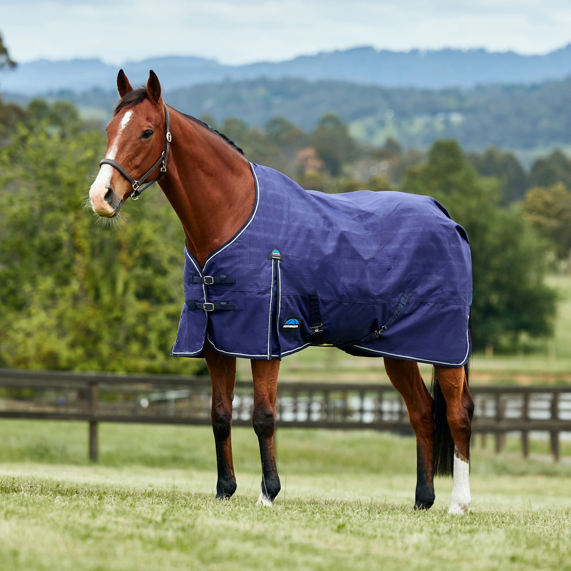 Weatherbeeta Prelim 0g Turnout Rug