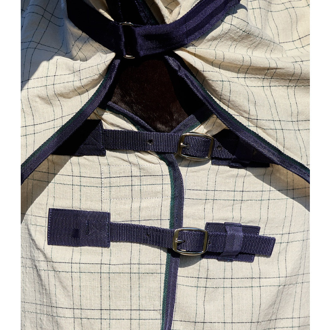 Weatherbeeta Summer Sheet Lite Combo 2025