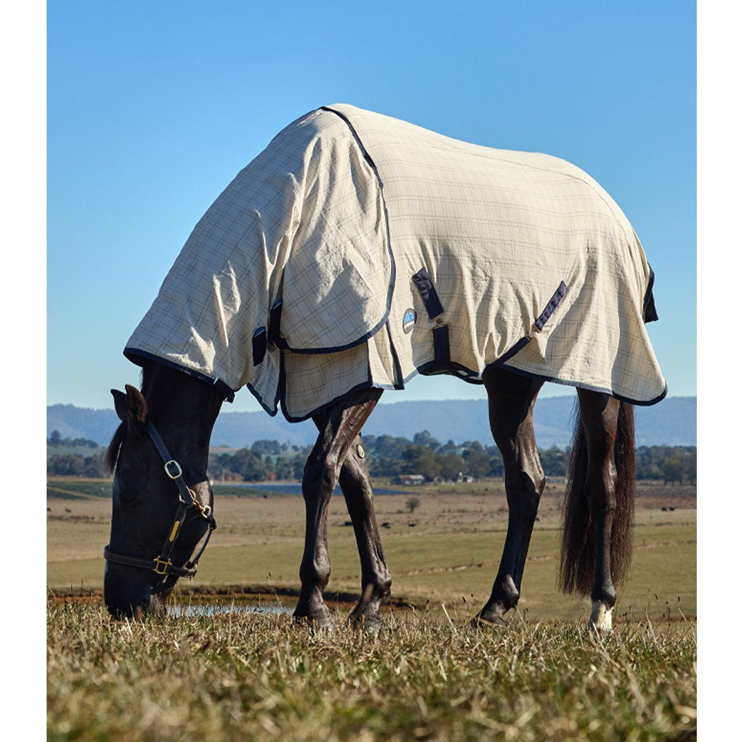 Weatherbeeta Summer Sheet Lite Combo 2025