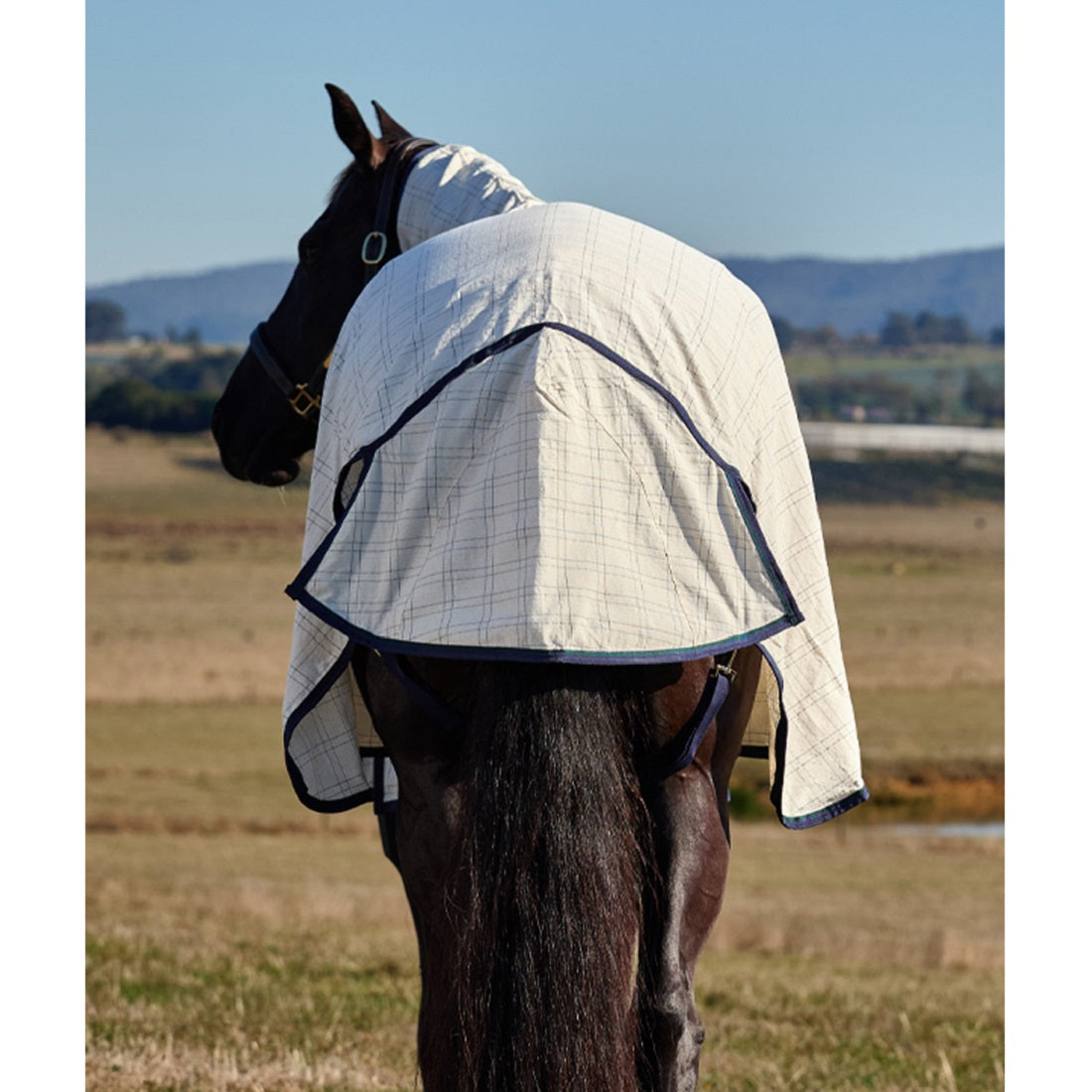 Weatherbeeta Summer Sheet Lite Combo 2025