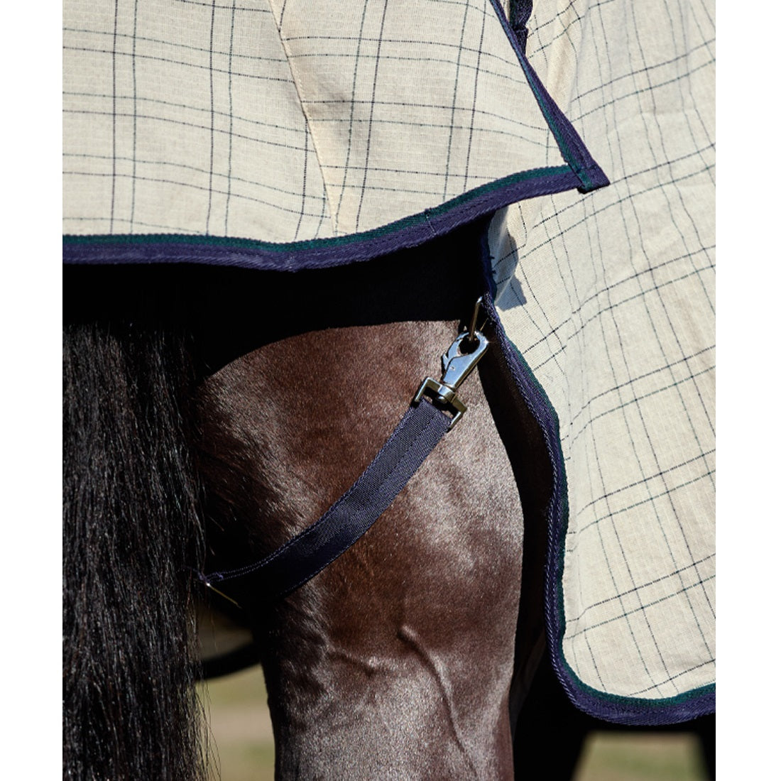 Weatherbeeta Summer Sheet Lite Combo 2025