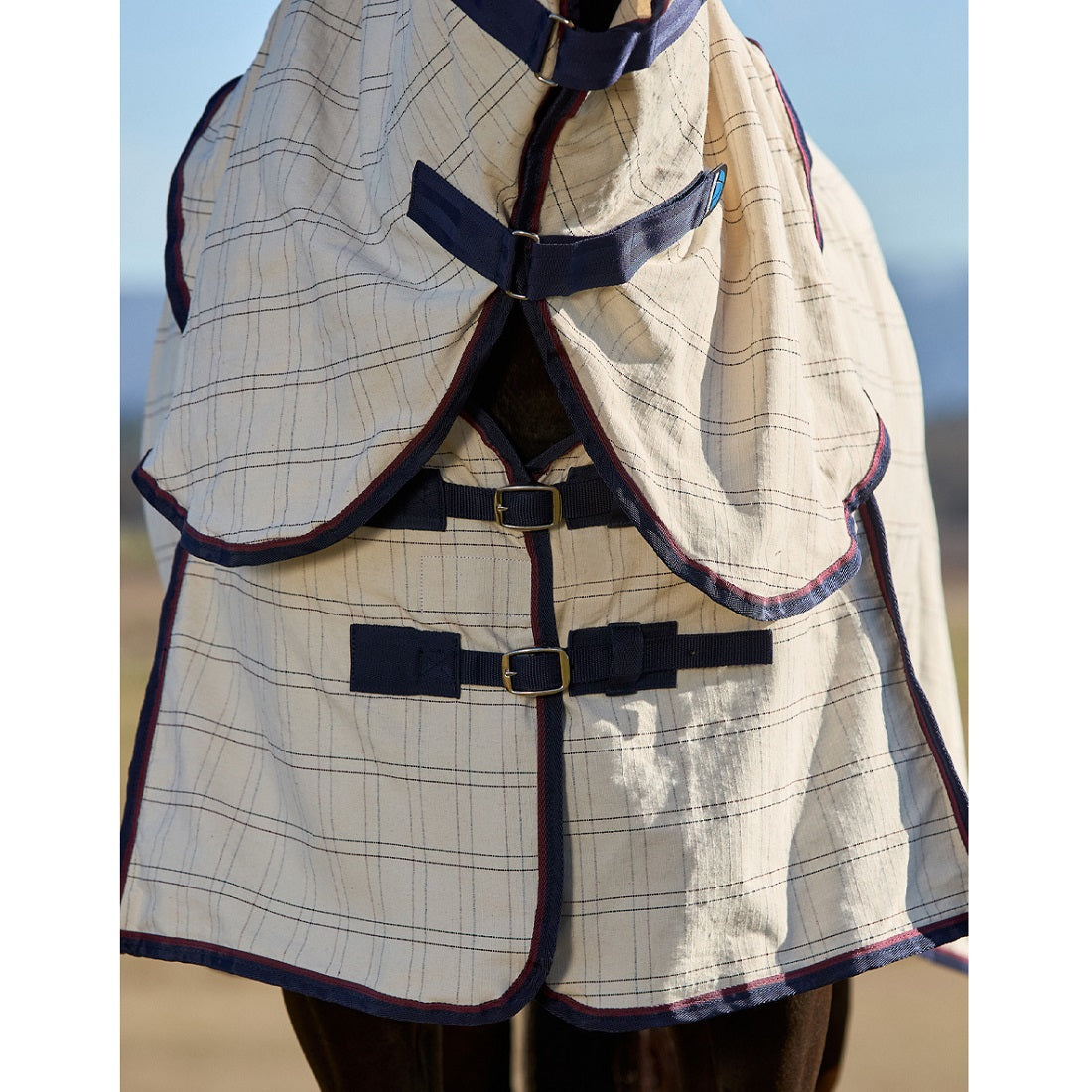 Weatherbeeta Summer Sheet Combo 2025