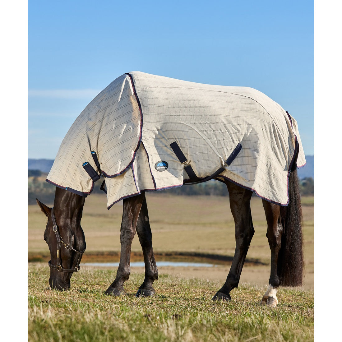 Weatherbeeta Summer Sheet Combo 2025