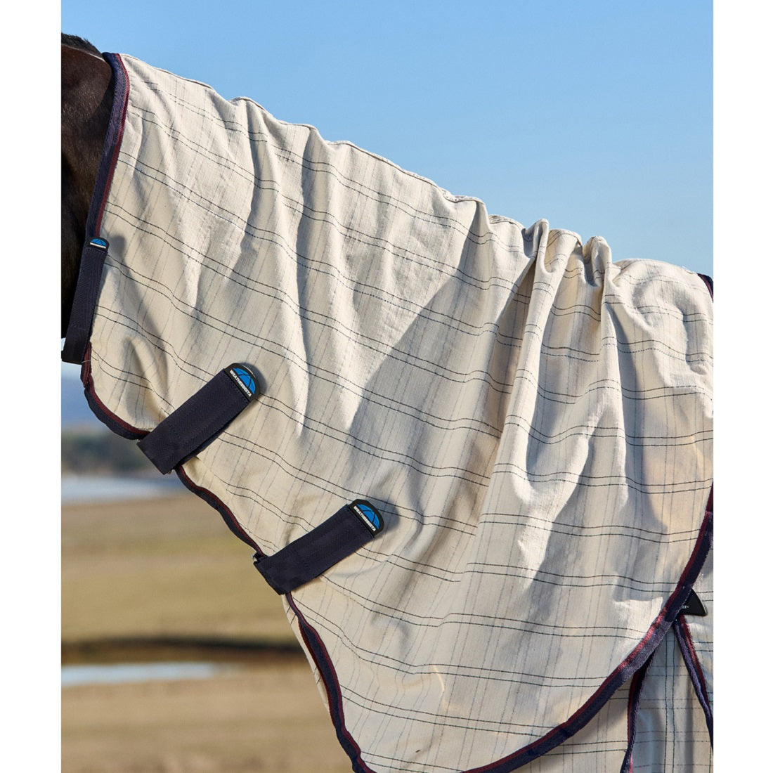 Weatherbeeta Summer Sheet Combo 2025