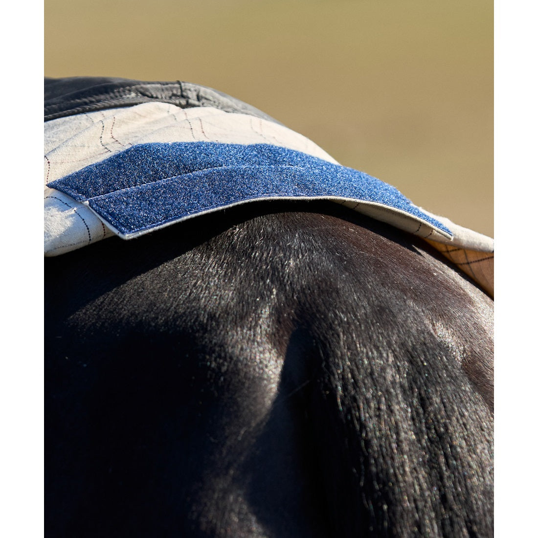 Weatherbeeta Summer Sheet Combo 2025