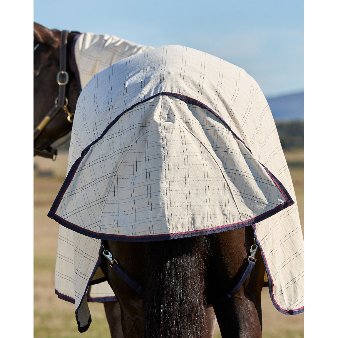 Weatherbeeta Summer Sheet Combo 2025