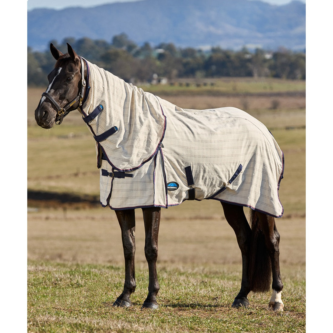 Weatherbeeta Summer Sheet Combo 2025