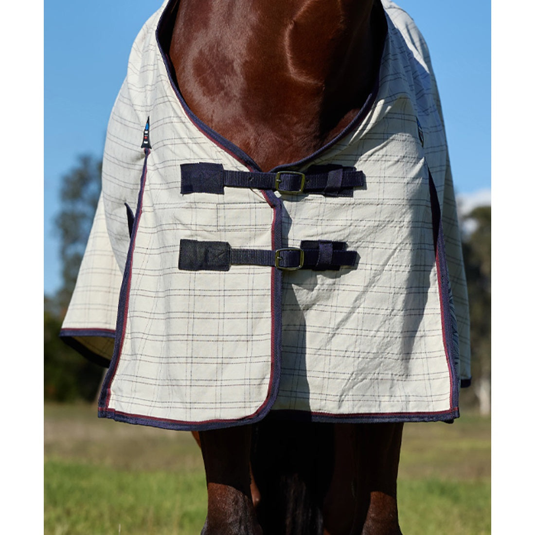 Weatherbeeta Summer Sheet Rug 2025