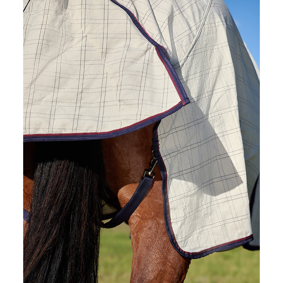 Weatherbeeta Summer Sheet Rug 2025