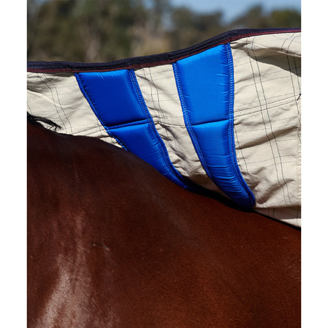 Weatherbeeta Summer Sheet Rug 2025