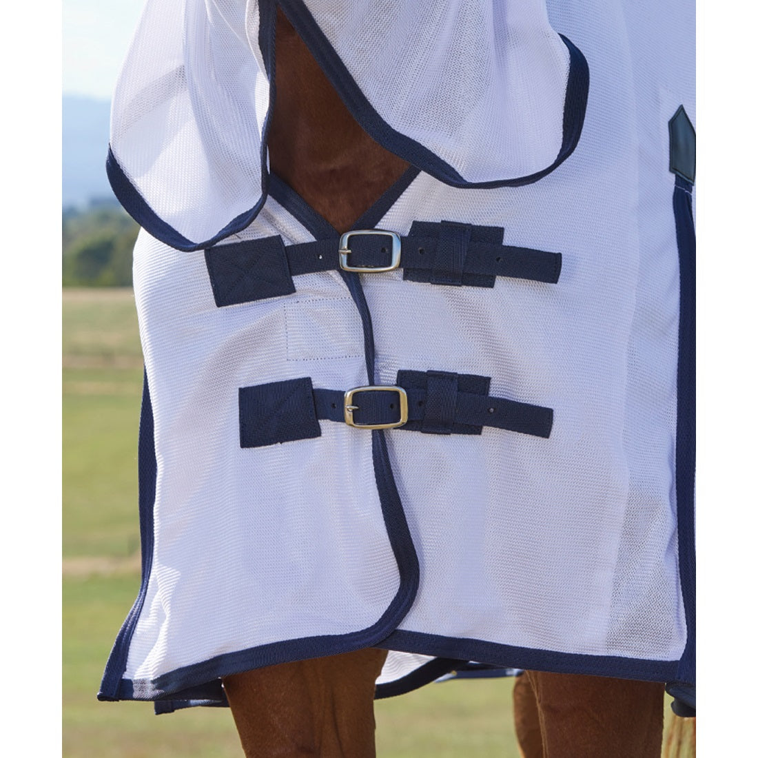 Saxon Air Mesh Fly Sheet Combo