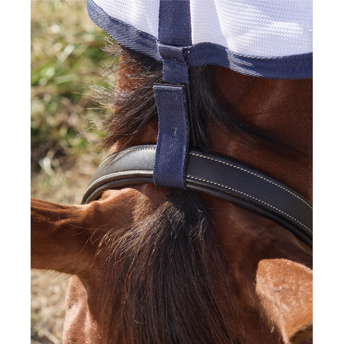 Saxon Air Mesh Fly Sheet Combo