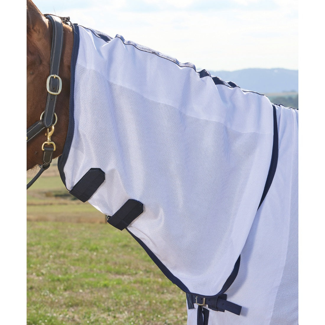 Saxon Air Mesh Fly Sheet Combo