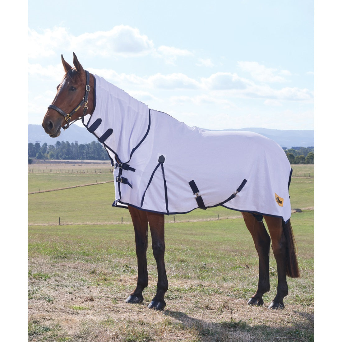 Saxon Air Mesh Fly Sheet Combo