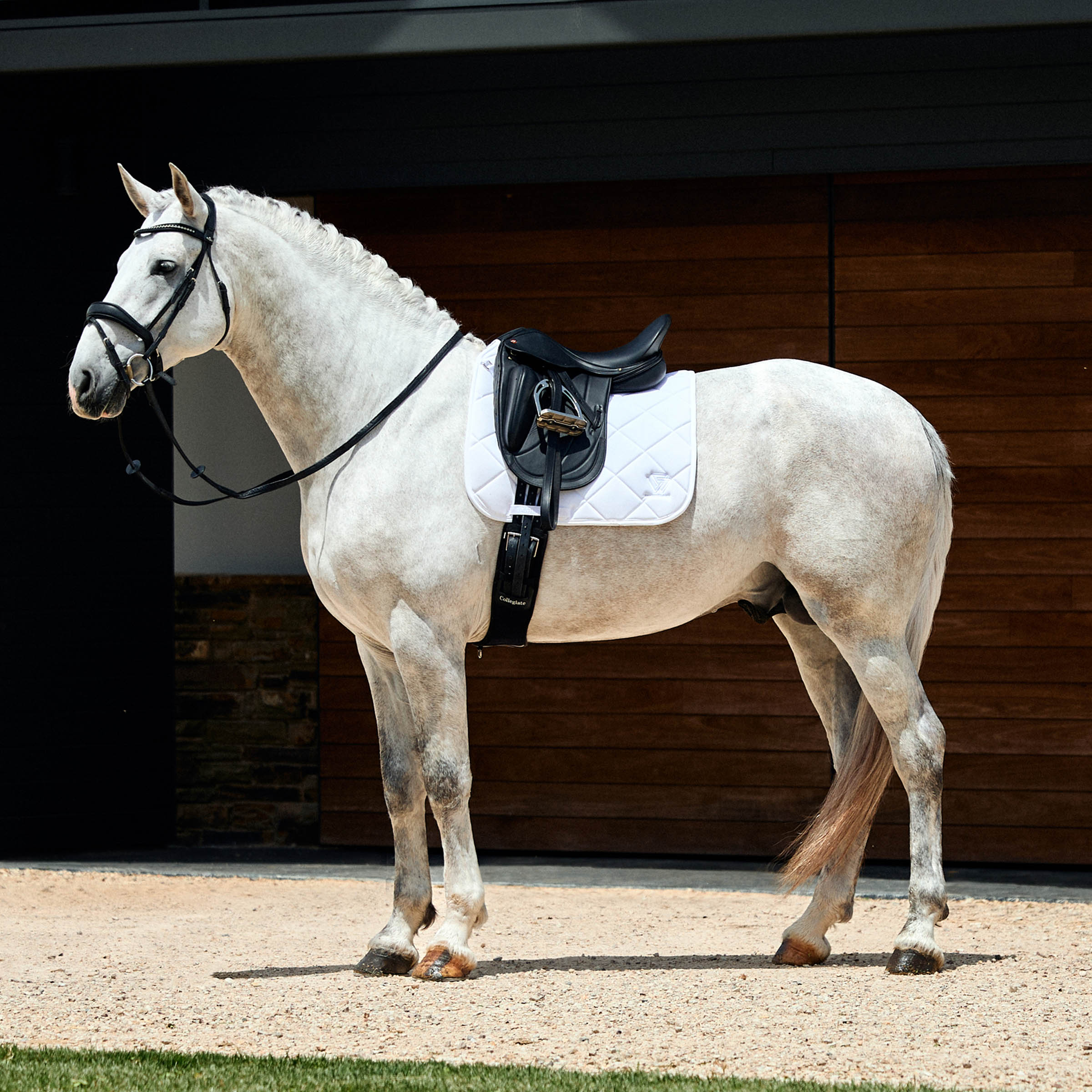 Weatherbeeta Softshell Pro 3D Dressage Pad